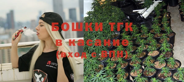 круглые Осинники